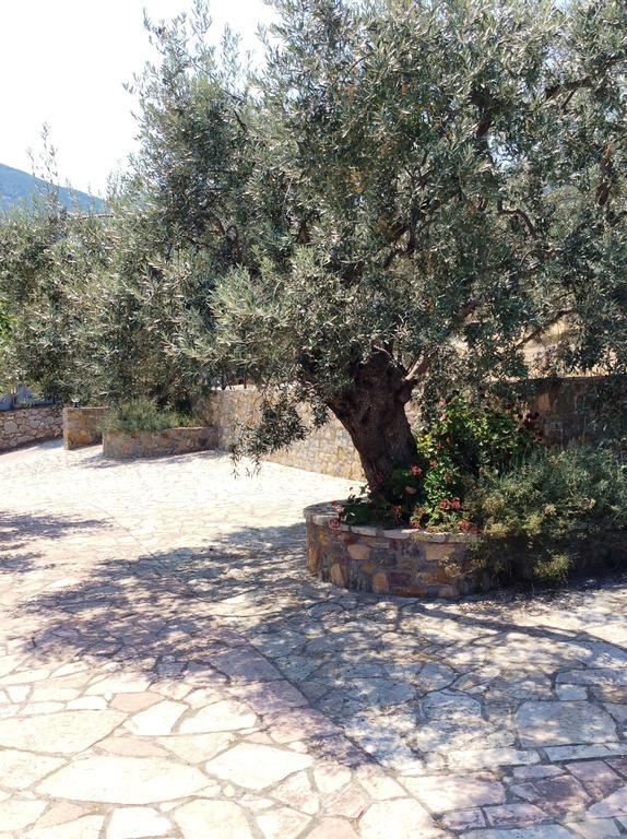 Angelica Villas Hotel Apartments Epidaurus Exterior photo